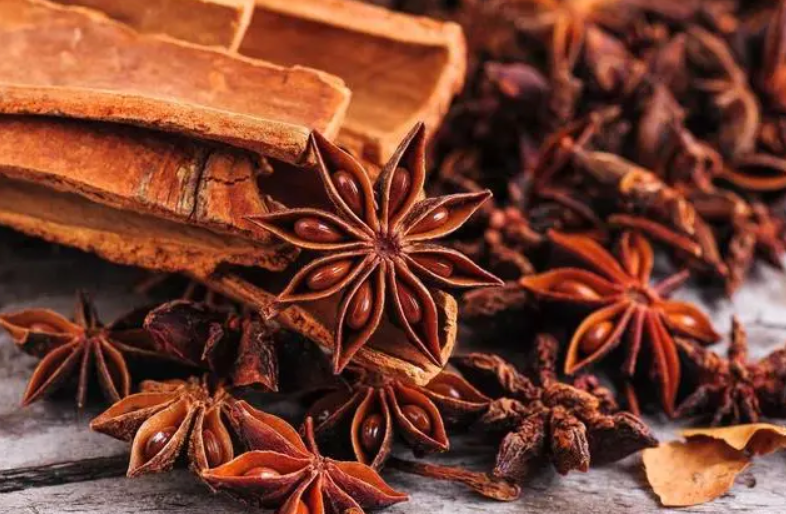 VIETNAM'S POTENTIAL FOR EXPORTING ANISE AND CINNAMON